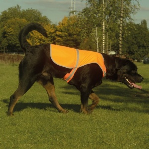High Visibility Dog Vest